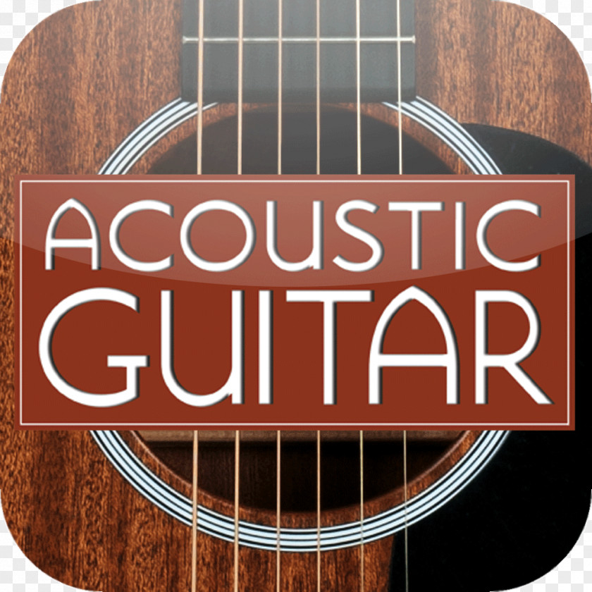 Acoustic Poster Guitar Flamenco Tonewood String Instruments PNG
