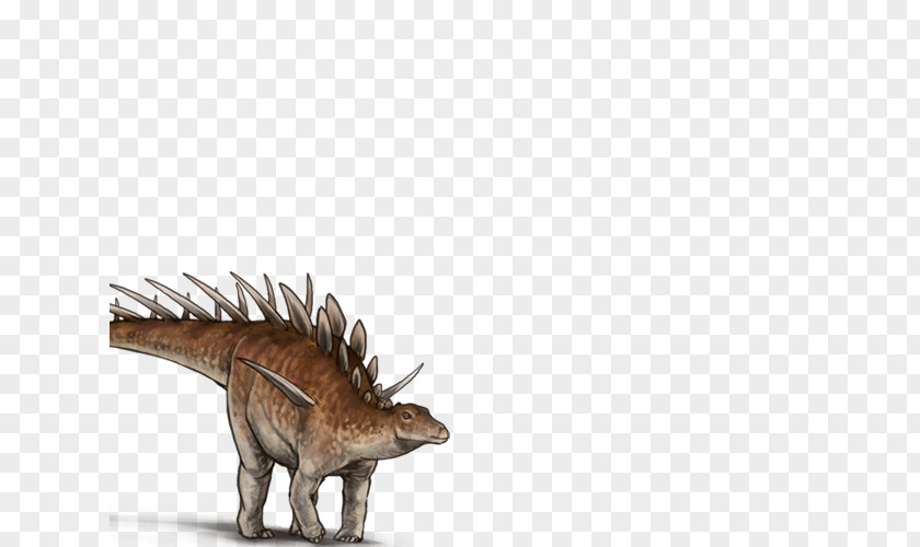 Dinosaur Felidae Lion Bird Triceratops PNG