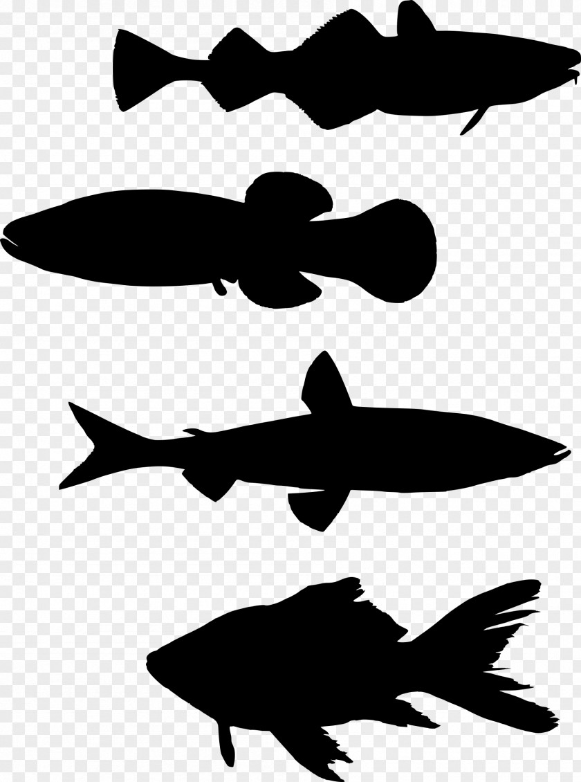 Fish Fishing Silhouette Clip Art PNG