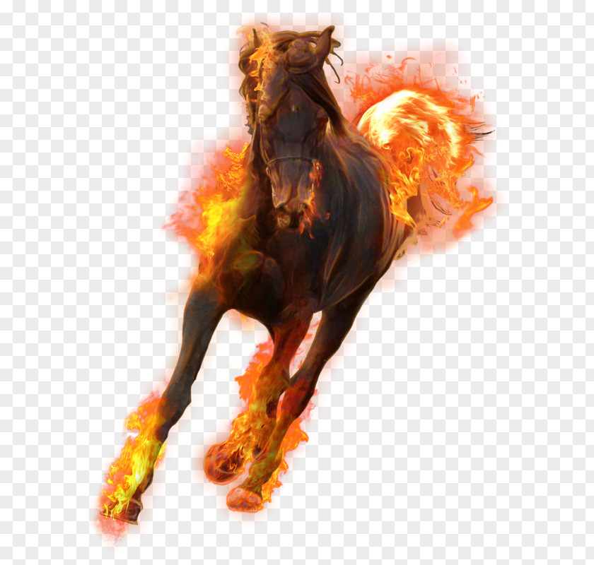 Flame Stallion Desktop Wallpaper Download PNG