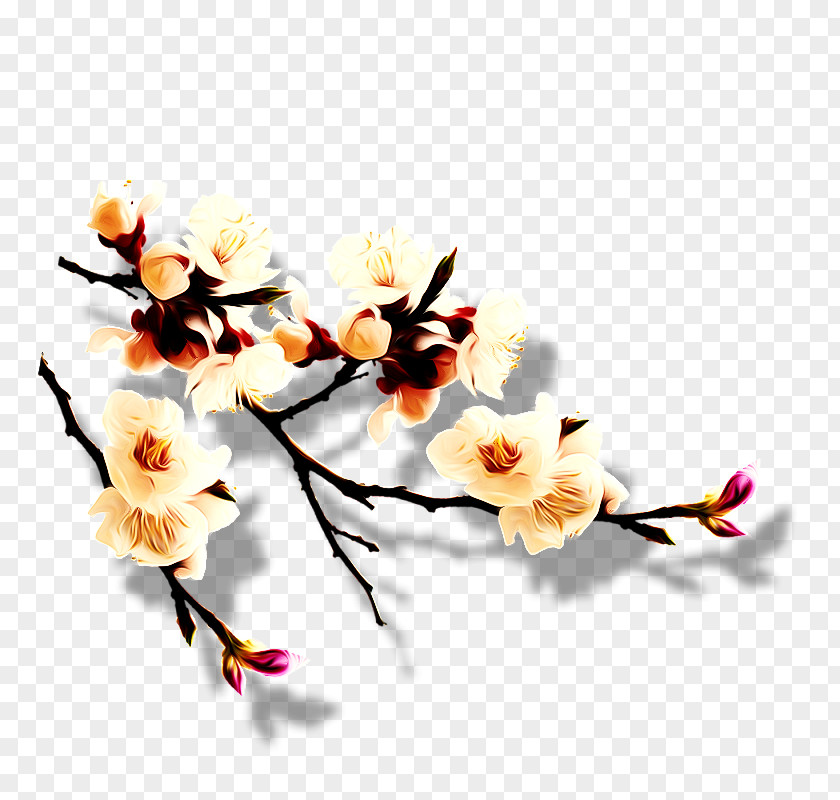 Plum Flower China Download Blossom PNG