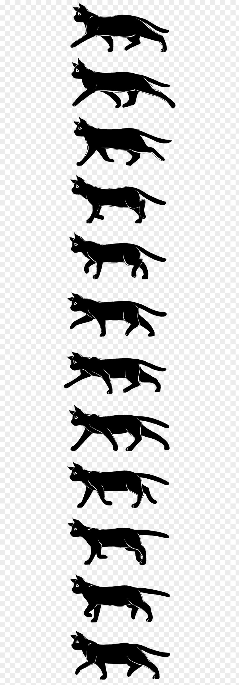 Cat Walk Cycle Animated Film Drawing Sprite PNG