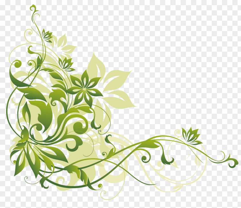 Design Stock Photography Floral PNG