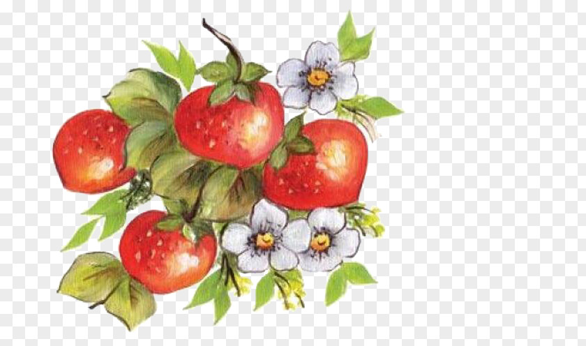 Hand-painted Strawberry Aedmaasikas PNG