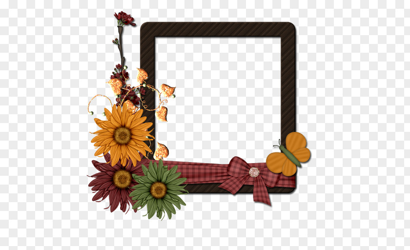 Picture Frames Google Images Photography PNG