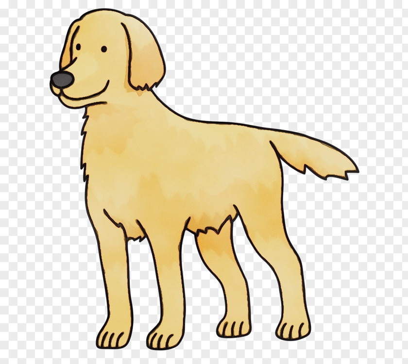 Sporting Group Yellow Dog Breed Golden Retriever PNG