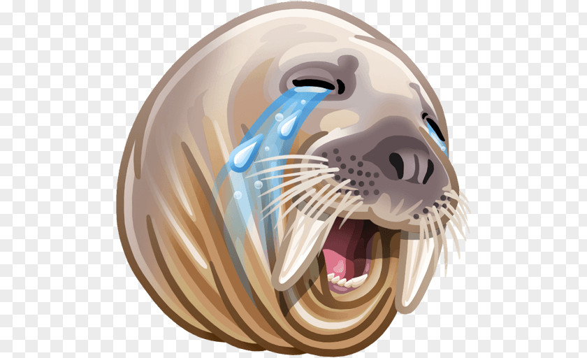 Walrus Sticker VK Telegram Odnoklassniki PNG