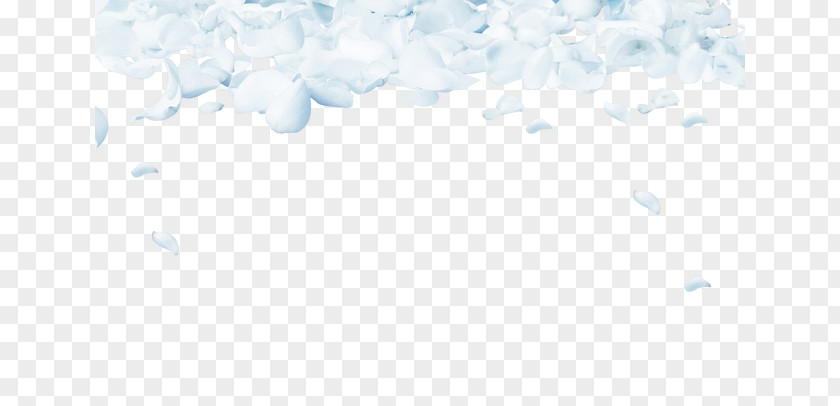 White Floral Background Sky Pattern PNG