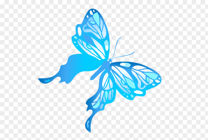Blue Butterfly Monarch Download PNG