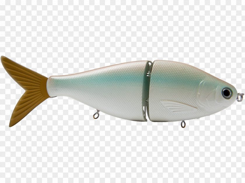 Fish Bony Fishes AC Power Plugs And Sockets PNG