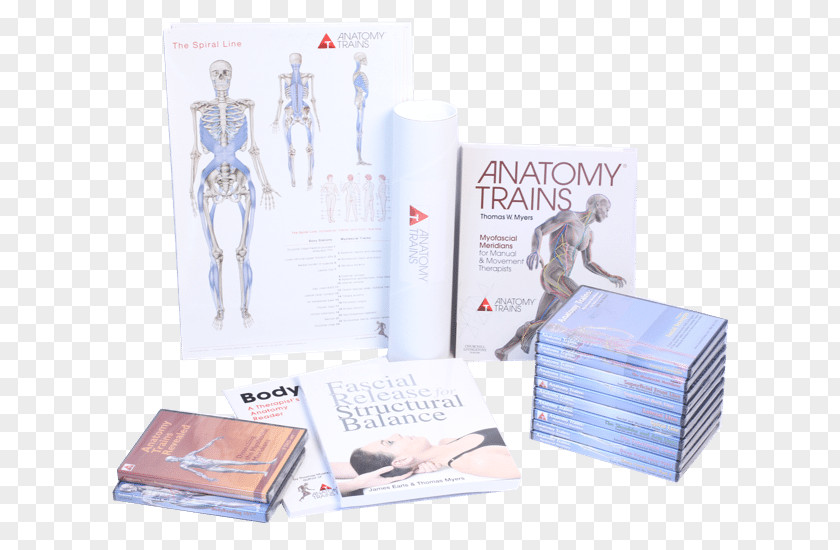 Manual Therapy Anatomy Trains: Myofascial Meridians For And Movement Therapists Paperback Book PNG