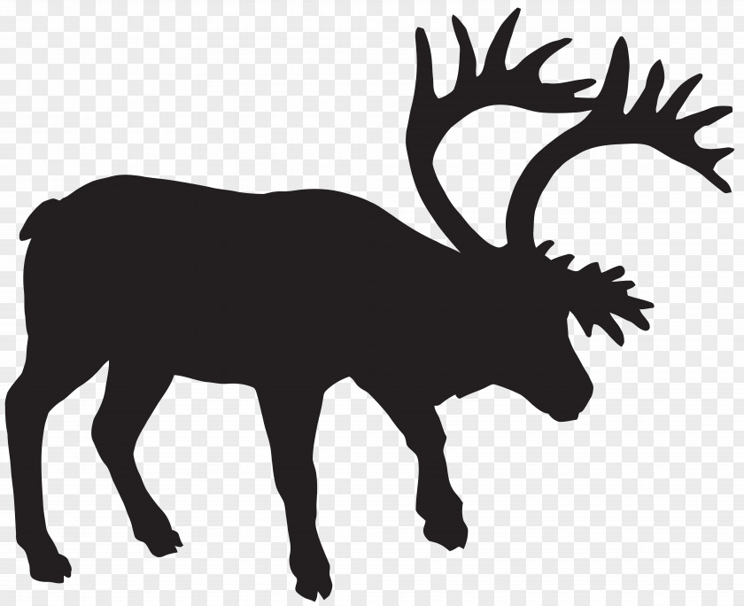 MOOSE Deer Silhouette Muskox PNG