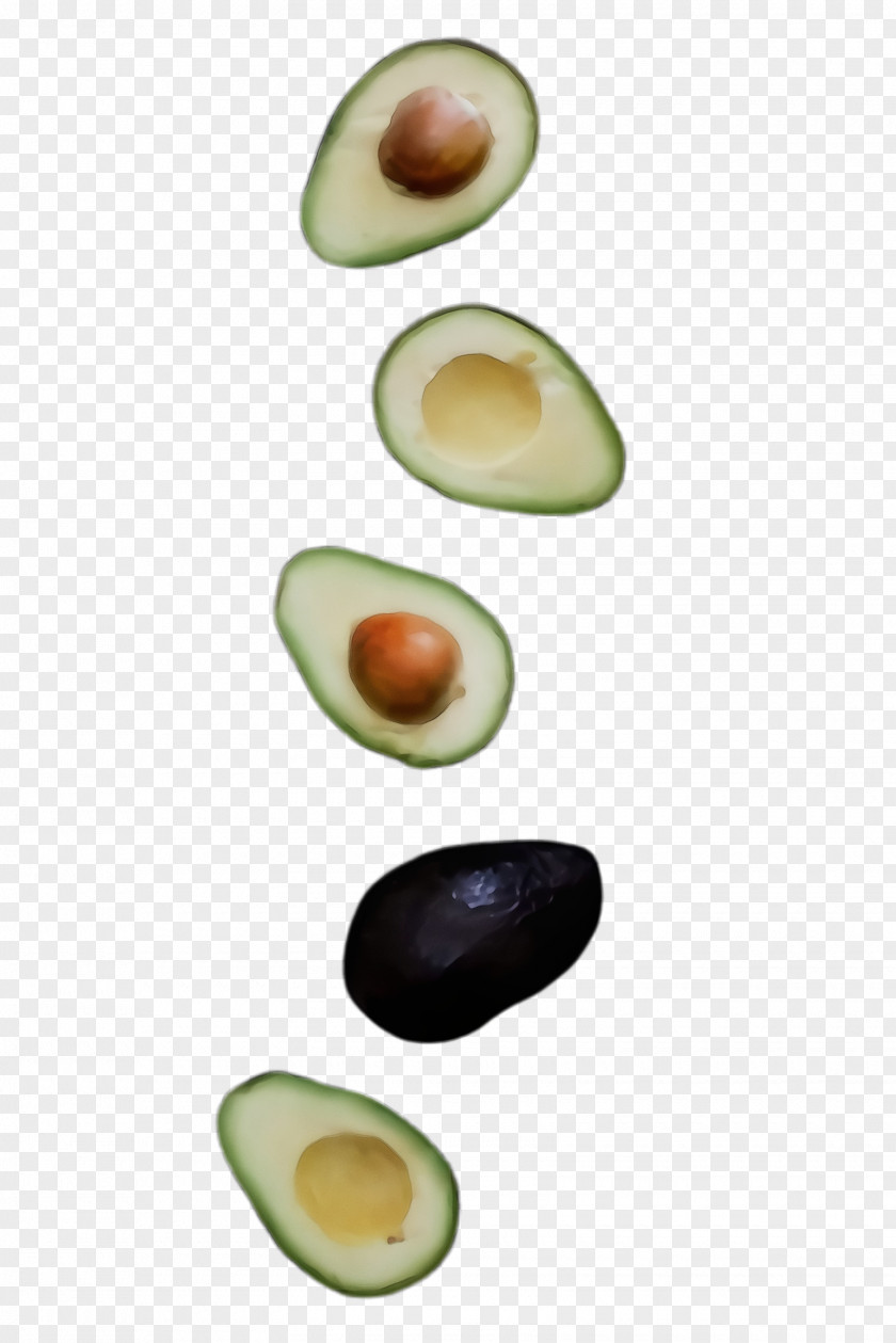 Mussel Seed Avocado PNG