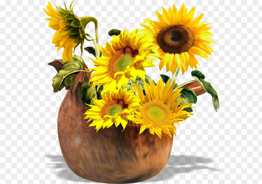 Sunflower Flower Pattern Common Sunflowers Clip Art PNG