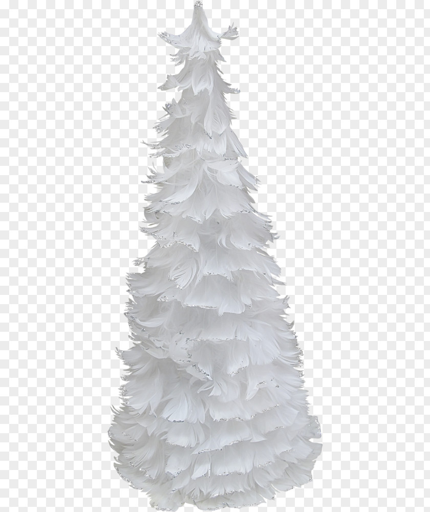 Tree Spruce Christmas Fir PNG