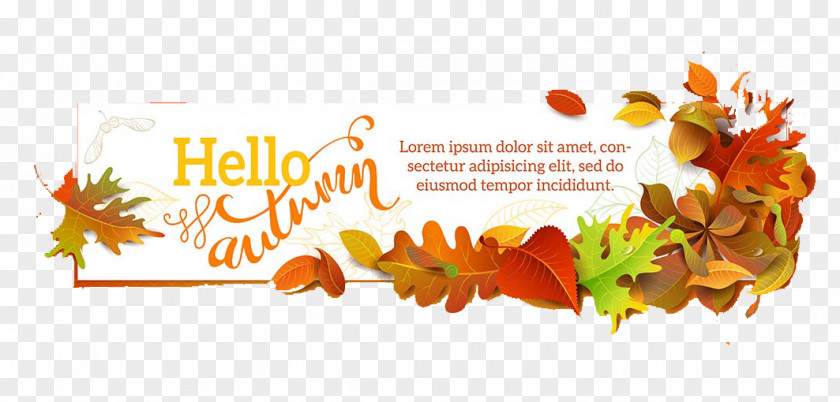 Hello Autumn Leaf European Aspen Illustration PNG