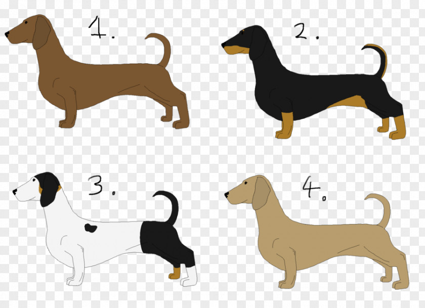 Puppy Dachshund Dog Breed Hound Clip Art PNG