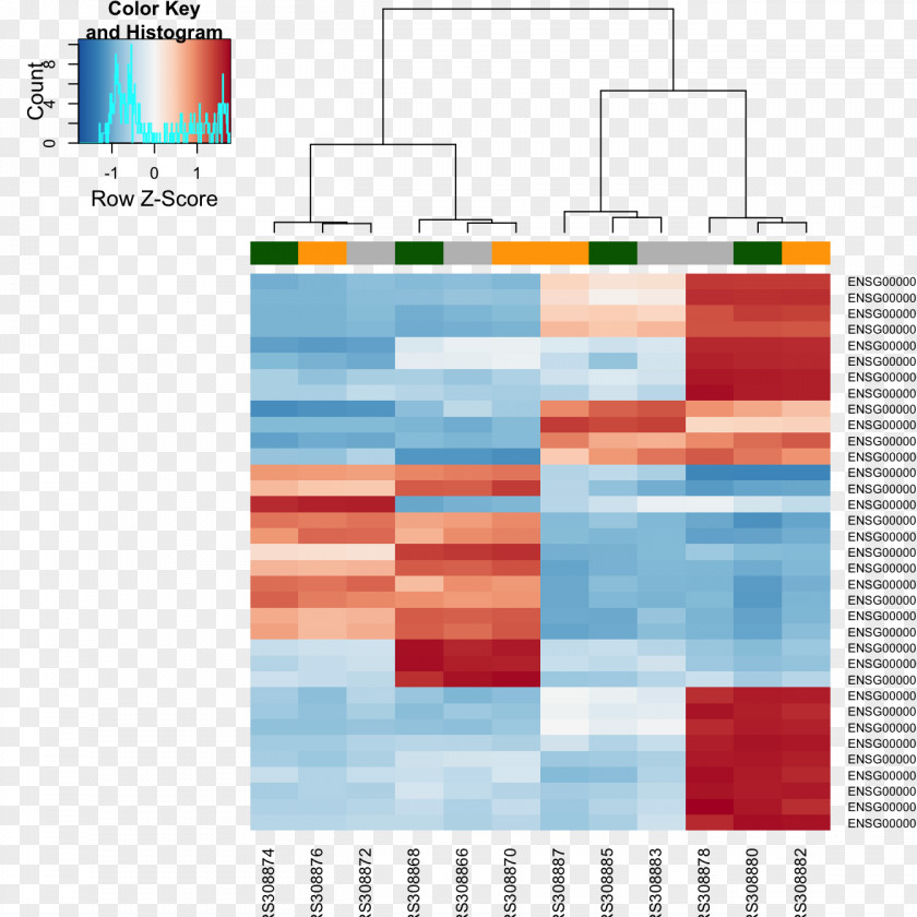 RNA-Seq Gene Expression Heat Map Principal Component Analysis PNG