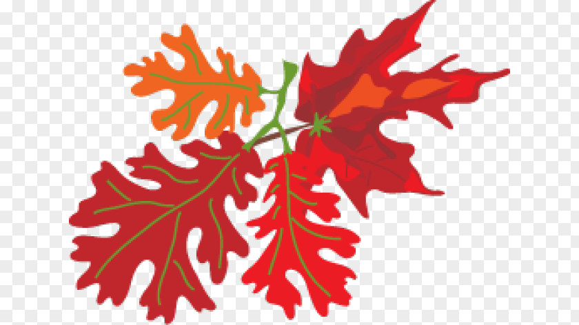 Us Holiday Maple Leaf Oktoberfest Clip Art PNG