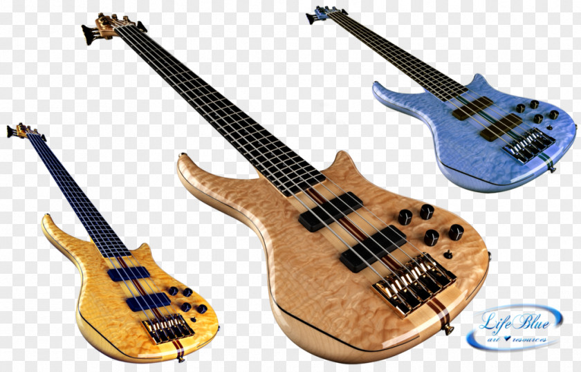 Violin Bass Guitar Ukulele Musical Instrument PNG