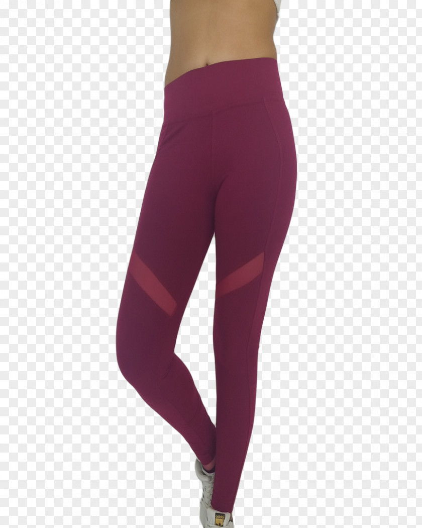 Bordo Leggings Waist Pants PNG