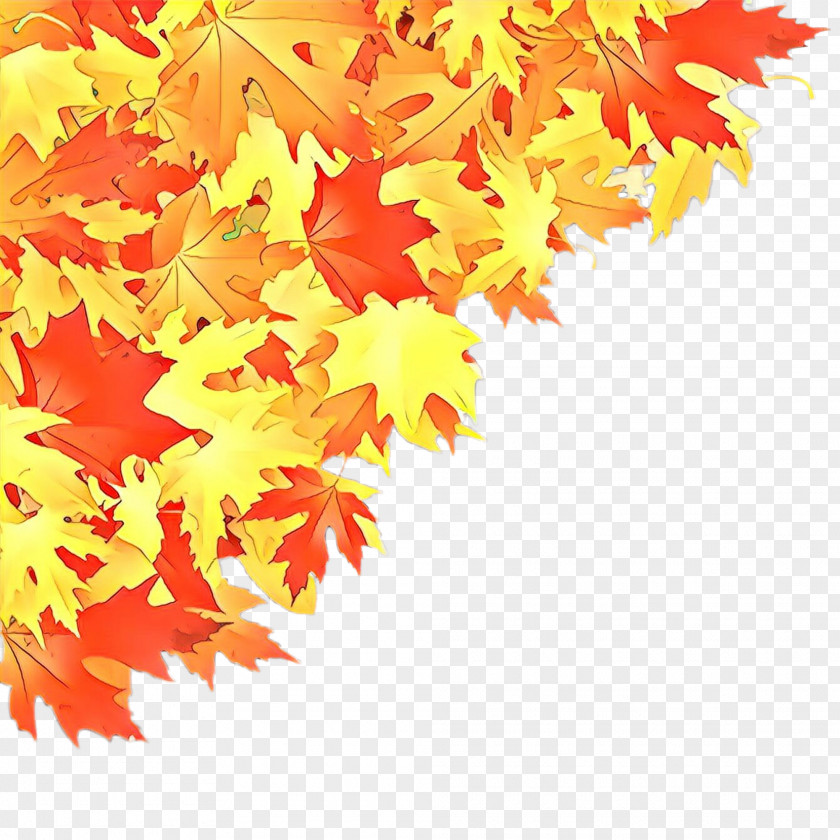 Sweet Gum Plant Maple Leaf PNG