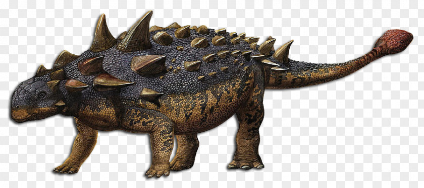 Dinosaur Euoplocephalus Late Cretaceous Amargasaurus Triceratops PNG
