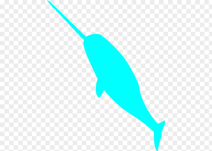 Dolphin Line Art Royalty-free Cartoon Clip PNG