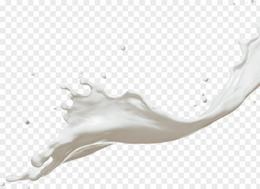 Milk Splash Coconut Dairy Products PNG