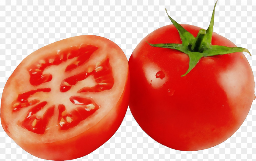 Plant Plum Tomato PNG