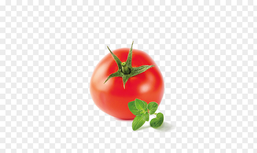 Tomato Bush Marmalade Sugar Food PNG