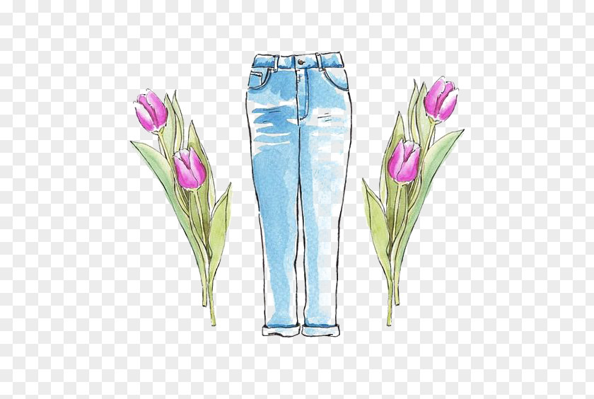 Drawing Jeans Trousers PNG
