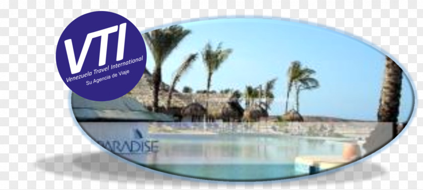 PARADİSE Hotel Coche Paradise Los Roques Archipelago Travel Playa El Yaque PNG