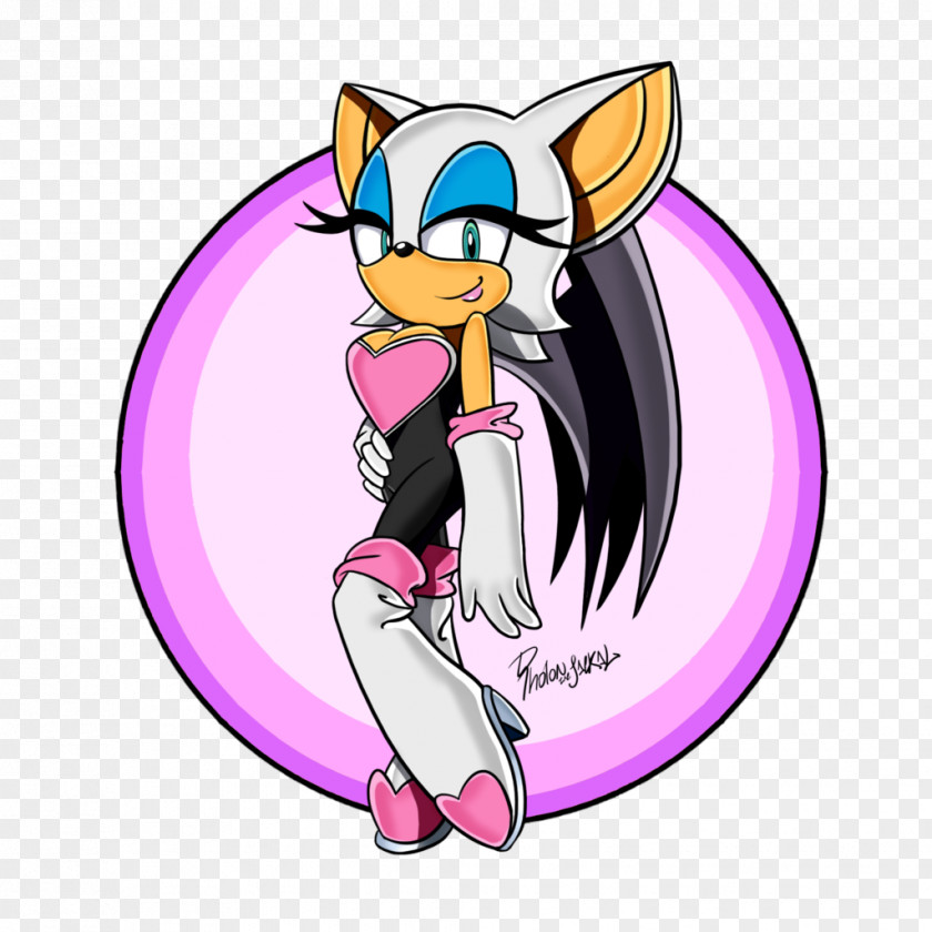 Rouge The Bat Whiskers Sonic Mega Collection Cat PNG