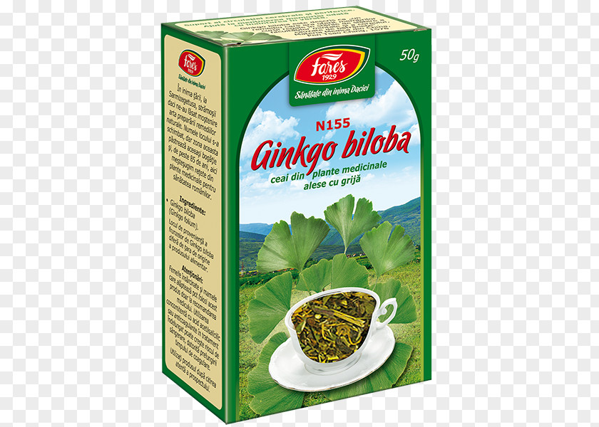 Tea Fares Field Horsetail Organic Food Romania PNG