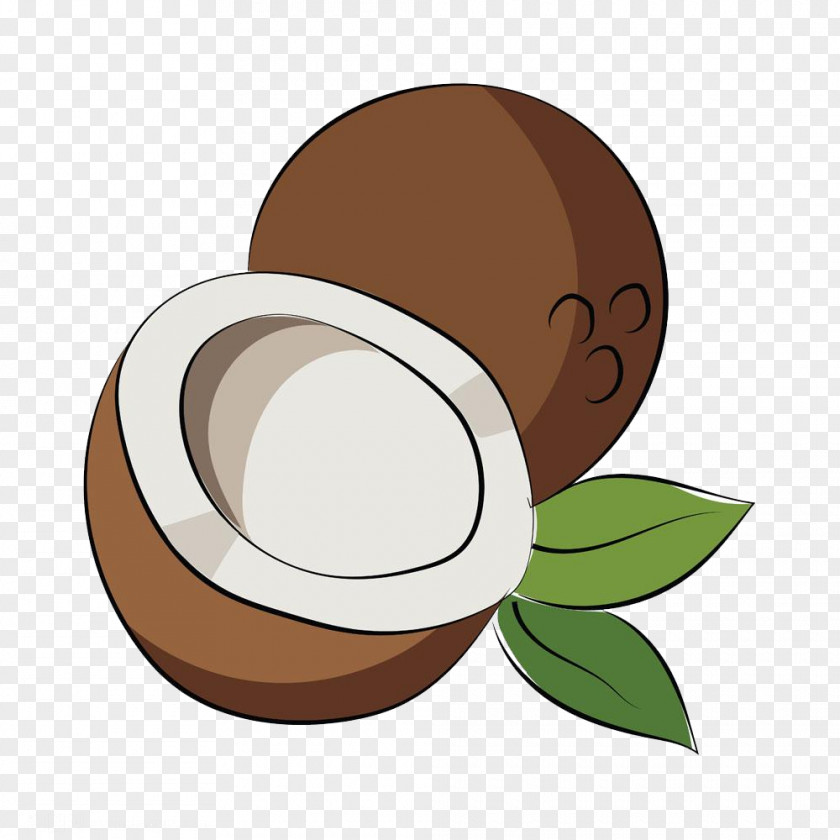 Cut Coconut Auglis Icon PNG