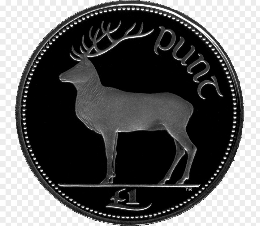 Euro Ireland Irish Pound One Coin PNG