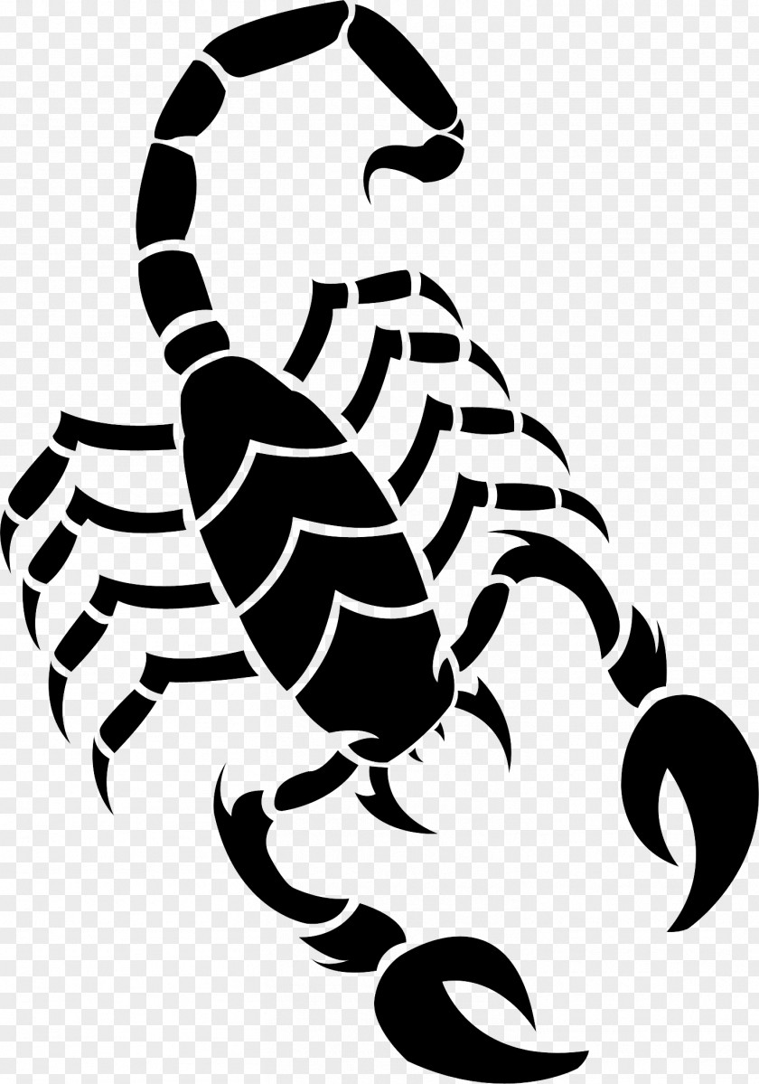 Scorpion Tattoo Silhouette Drawing Clip Art PNG