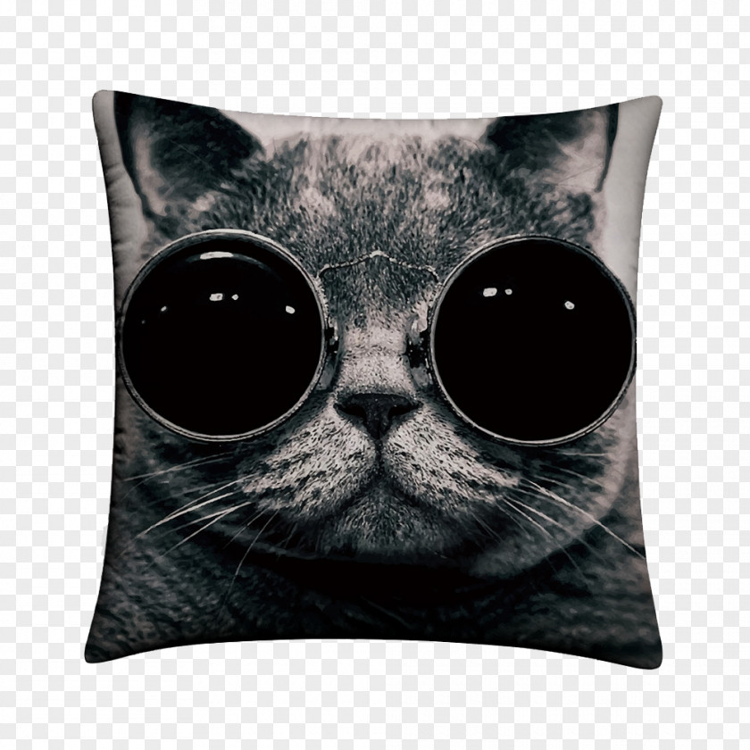 Star Cat Cushion PNG