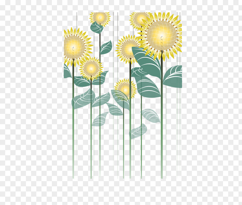Sunflower Common Cut Flowers Floral Design PNG
