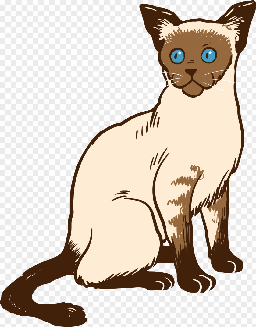 Vector Hand-painted Blue-eyed Cat Siamese Bengal Manx Ragdoll Kitten PNG