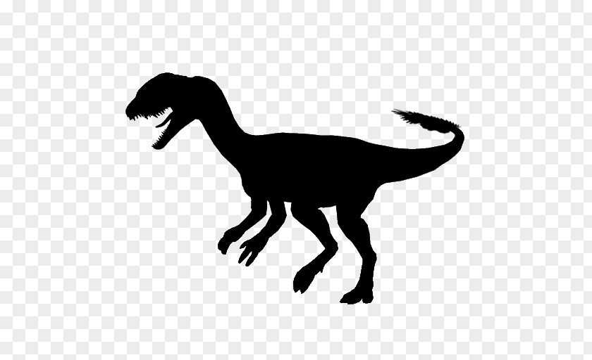 Velociraptor Tyrannosaurus Clip Art Fauna Silhouette PNG