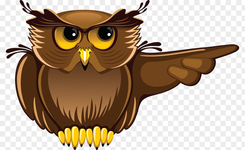 Cartoon Owl Student Teacher Clip Art PNG