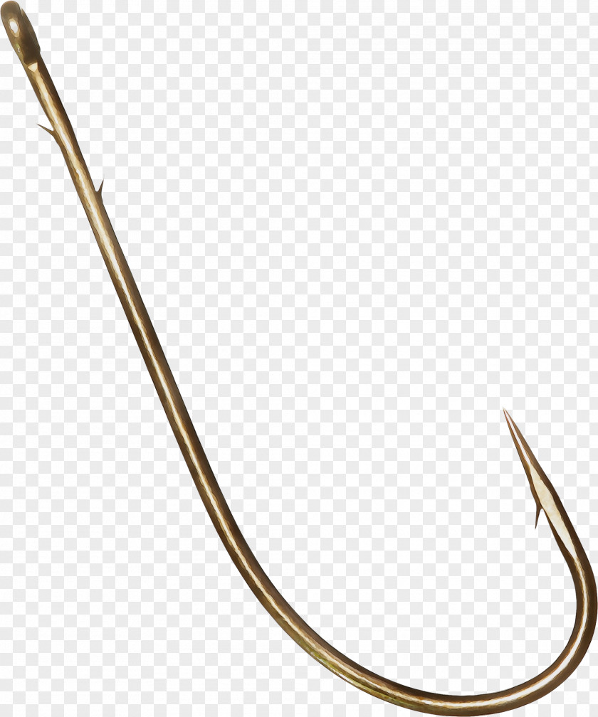 Fishing Fish Hook PNG