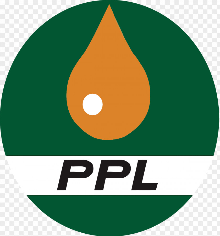 Pakistan Petroleum Natural Gas Business PNG