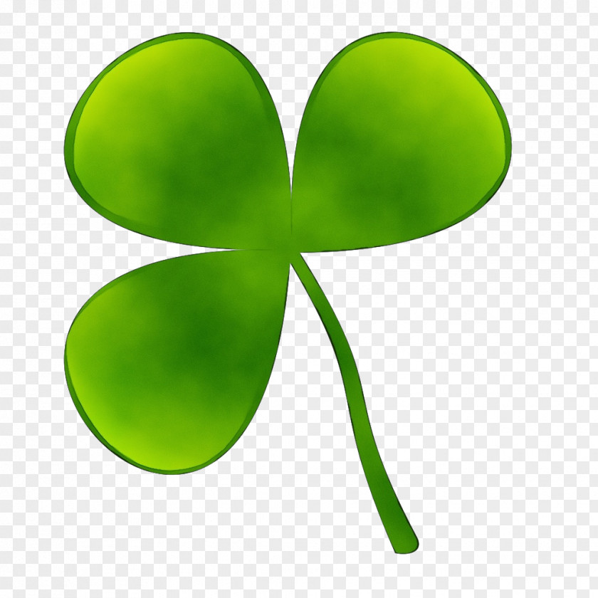 Plant Stem Shamrock PNG