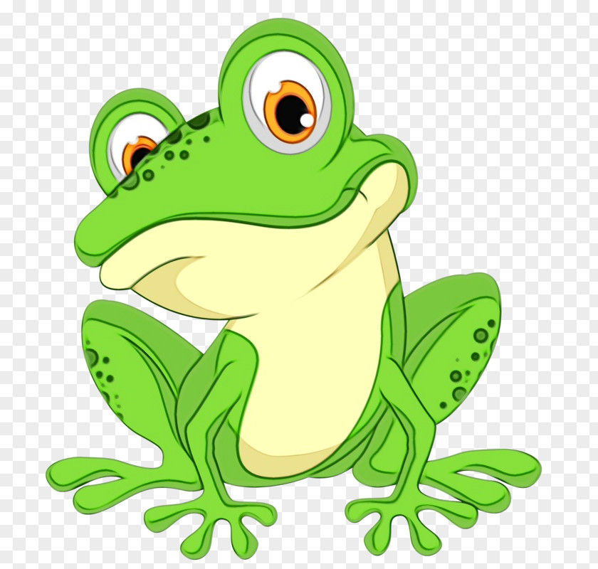 Toad Hyla True Frog Green Cartoon Tree PNG