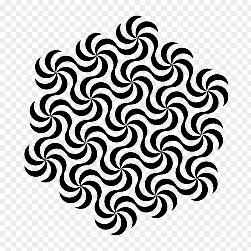 Zebra Monochrome Photography Circle Pattern PNG