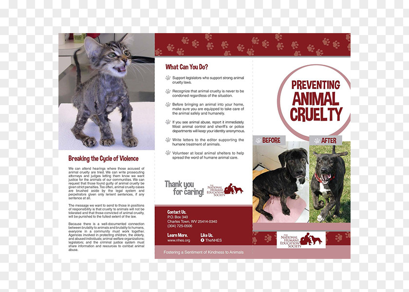 Dog Breed Advertising Fighting Intensive Animal Farming PNG
