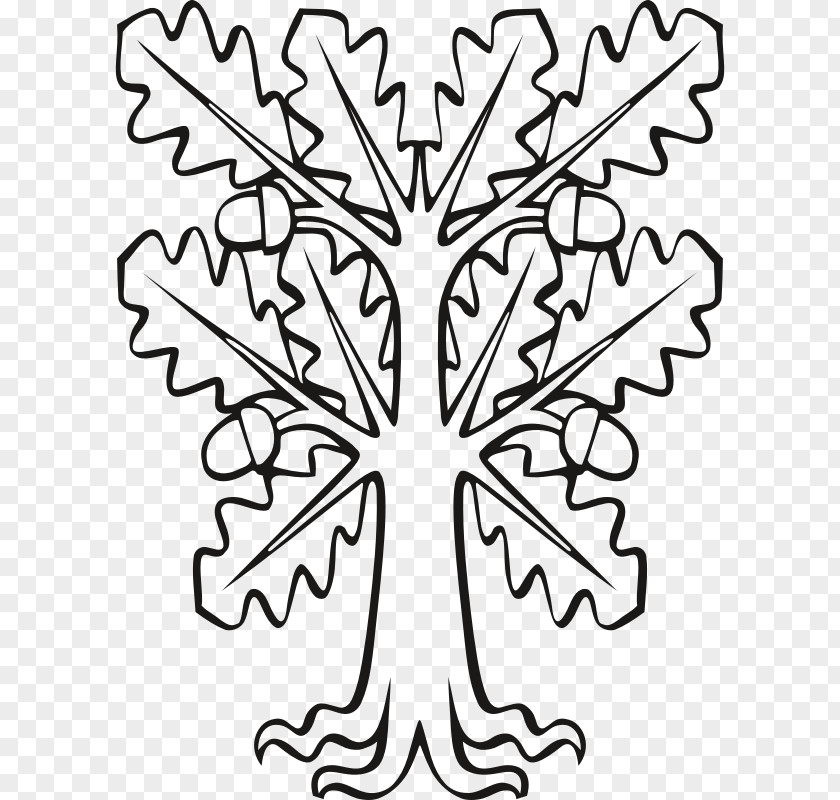 Leaf Branch Clip Art English Oak Sessile PNG